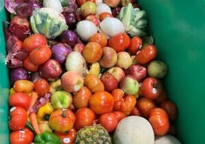 Food Waste Image-large (1)